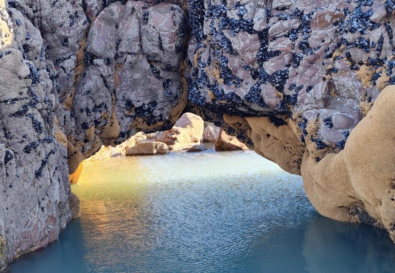 Rockpool - Bude Dış mekan fotoğraf